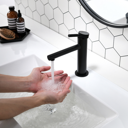 Opbouw wastafelkraan Taylor - Mat zwart